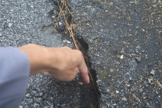 Bản tin cuối ngày 4/12: Vết nứt bất thường trên Đèo Ngang, giun đất chết la liệt Bản tin cuối ngày 4/12: Vết nứt bất thường trên Đèo Ngang, giun đất chết la liệt