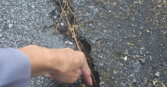 Bản tin cuối ngày 4/12: Vết nứt bất thường trên Đèo Ngang, giun đất chết la liệt