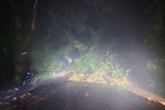 Bản tin trưa ngày 4/12/2025:Đèo Gia Bắc ở Lâm Đồng sạt lở, 20 ô tô mắc kẹt Bản tin trưa ngày 4/12/2025:Đèo Gia Bắc ở Lâm Đồng sạt lở, 20 ô tô mắc kẹt