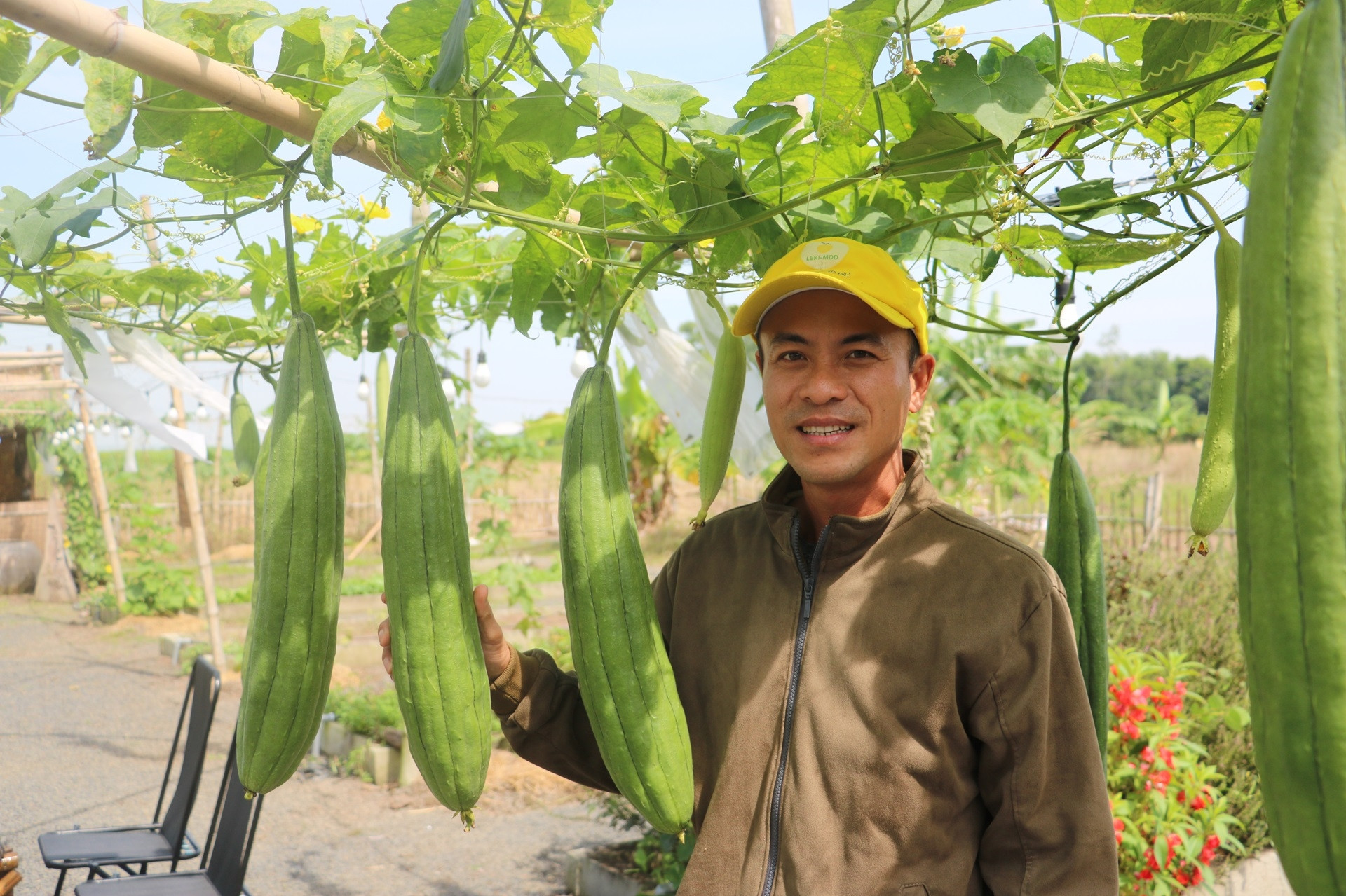 8X TPHCM biến mảnh đất trống thành khu vườn đặc biệt, kể chuyện quê hương