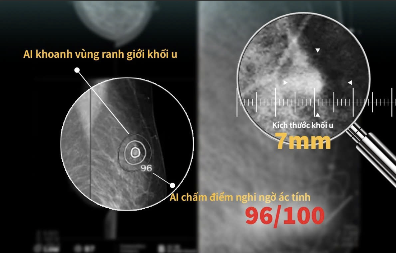 Ảnh màn hình 2025 12 04 lúc 16.15.31.png