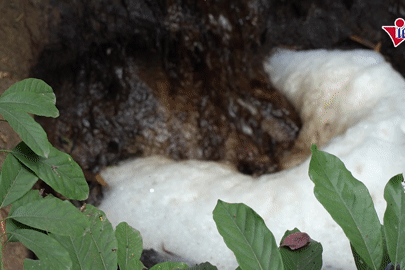 Bãi rác khổng lồ ở Thanh Hóa thành nỗi ám ảnh, dự án điện rác 'bất động'