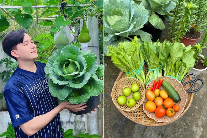 Chàng trai Đồng Tháp biến sân trọ 3m2 thành vườn đẹp mê, rau trái ăn không hết