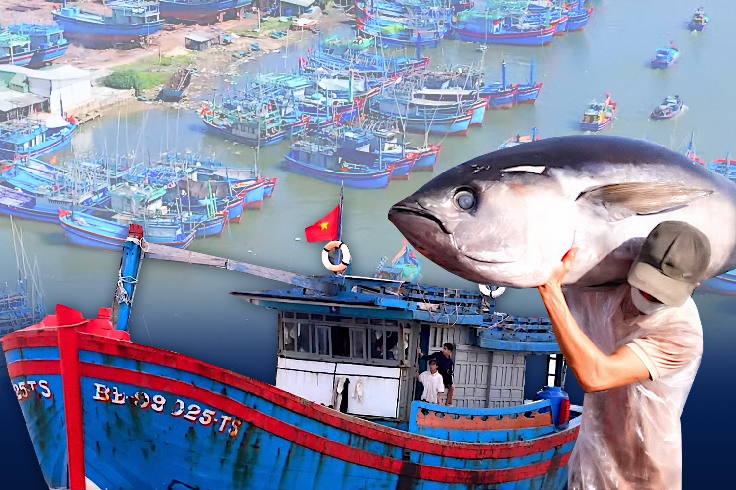 Đề án di dời hơn 2.500 tàu thuyền về cảng cá Tam Quan: ‘Nghĩ sâu, làm lớn’