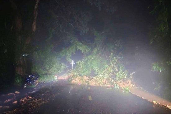 Bản tin trưa ngày 4/12/2025:Đèo Gia Bắc ở Lâm Đồng sạt lở, 20 ô tô mắc kẹt