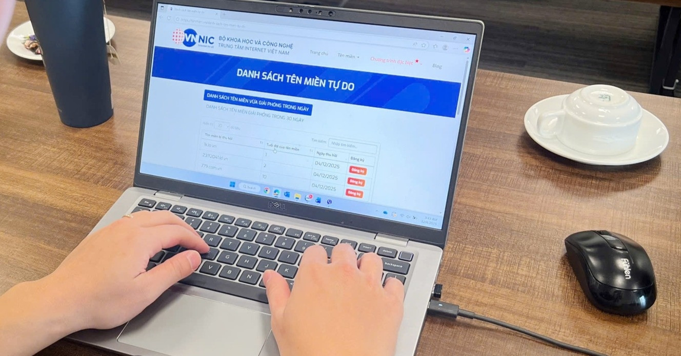 Người dùng theo dõi “real-time” danh sách tên miền '.VN' tự do để tái đăng ký