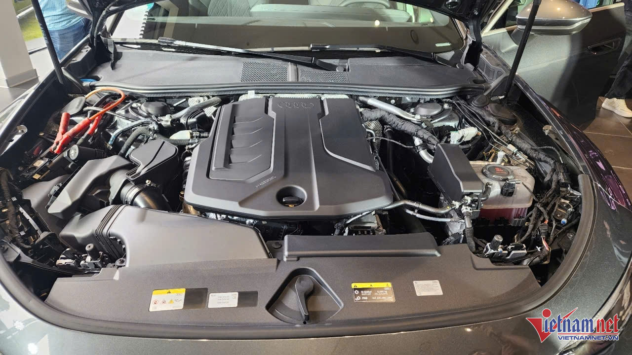 W-2922242560698547781 (2).jpg