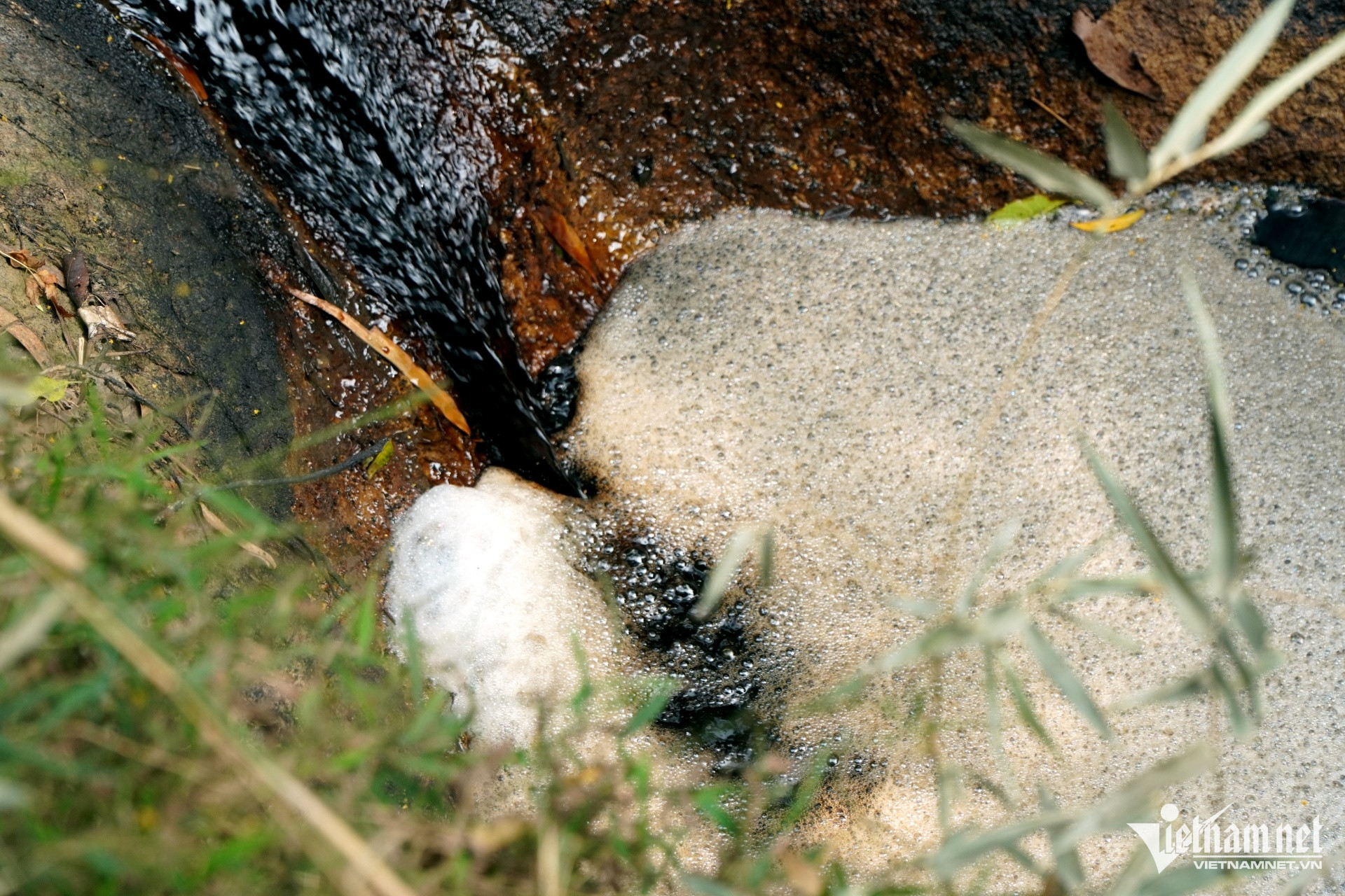 W-a3Bãi rác quá tải.JPG.jpg