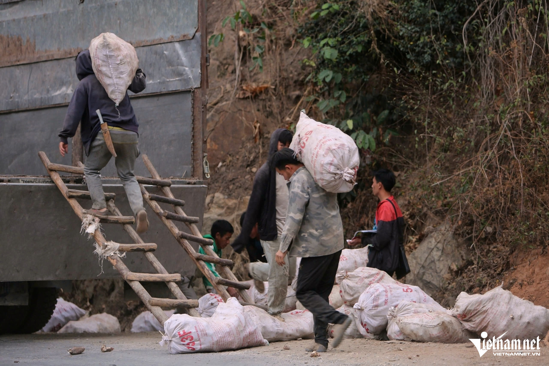 w a3gia san giam sau 101150.jpg