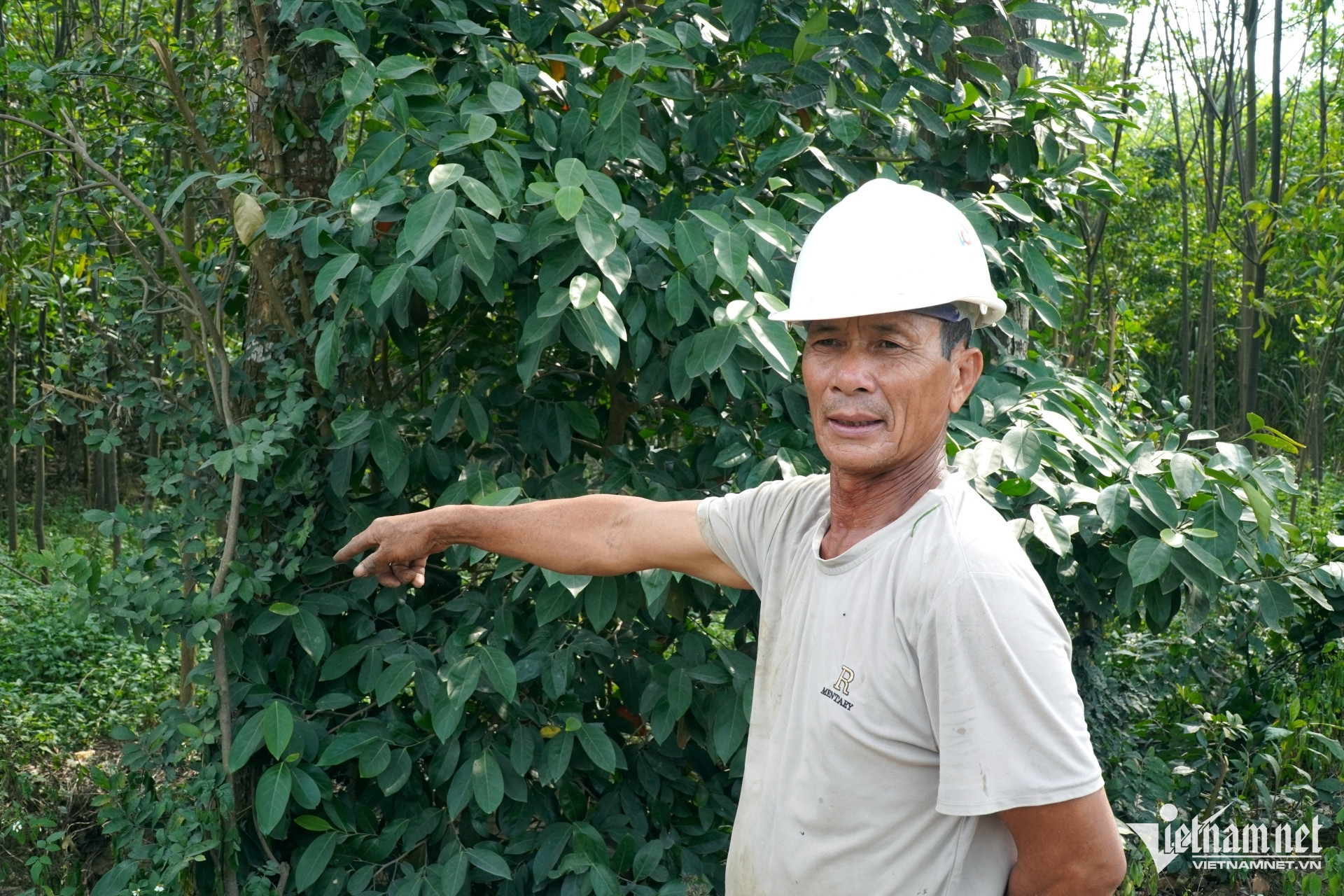 W-a4Bãi rác quá tải.JPG.jpg