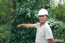 W-a4Bãi rác quá tải.JPG.jpg