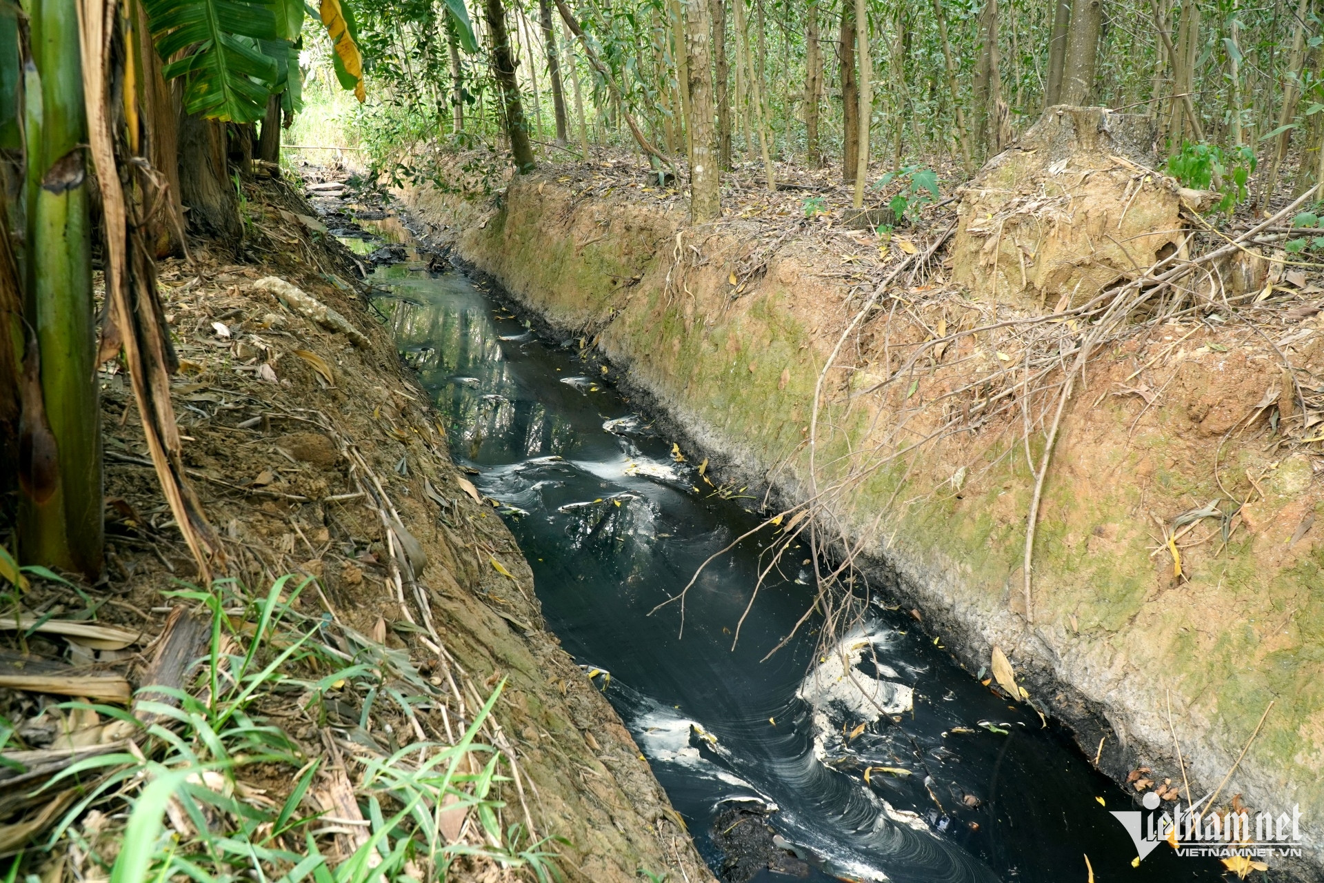 W-a5Bãi rác quá tải.JPG.jpg