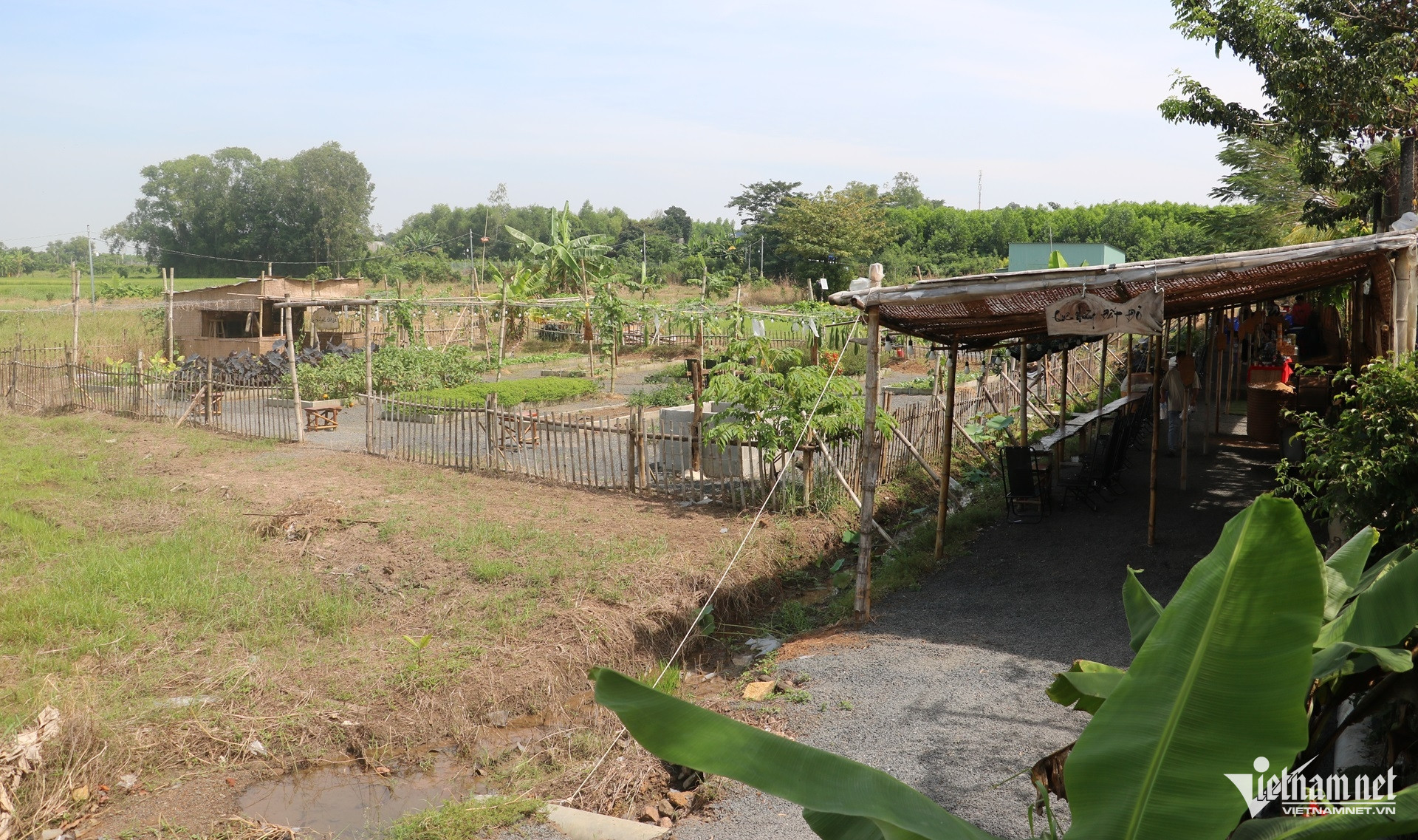 W-Chàng trai đất đỏ mang tình yêu quê hương vào khu vườn đặc biệt rộng 11.000m2.10.JPG.jpg