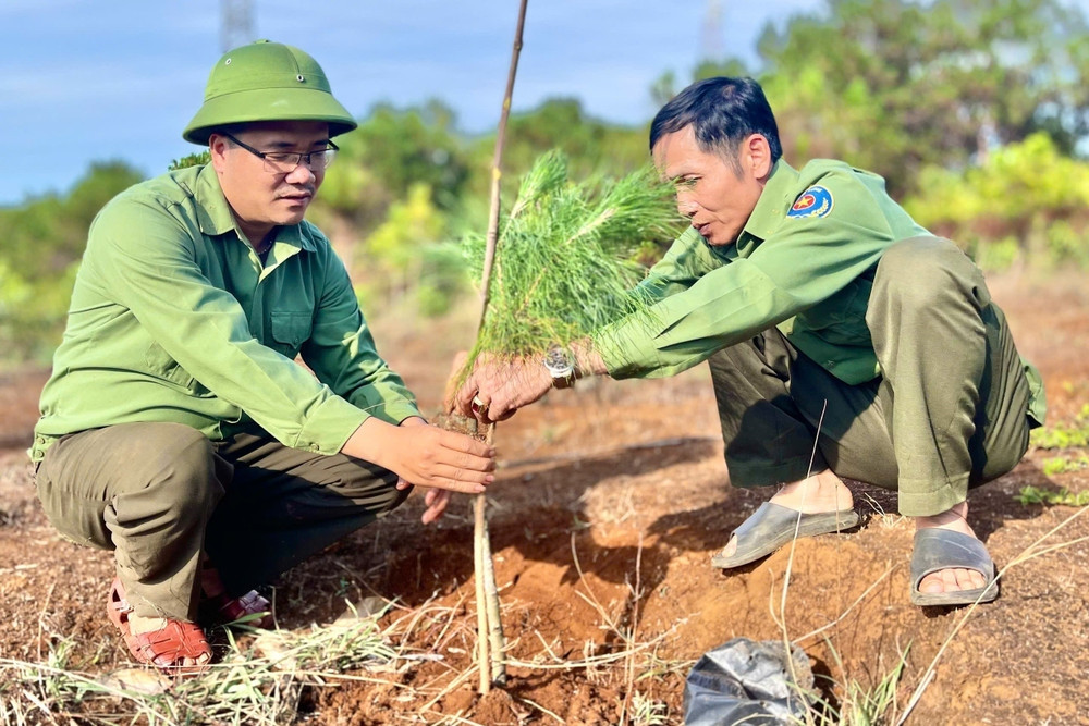 5 năm chi gần 15.300 tỷ đồng để trồng 1,4 tỷ cây xanh