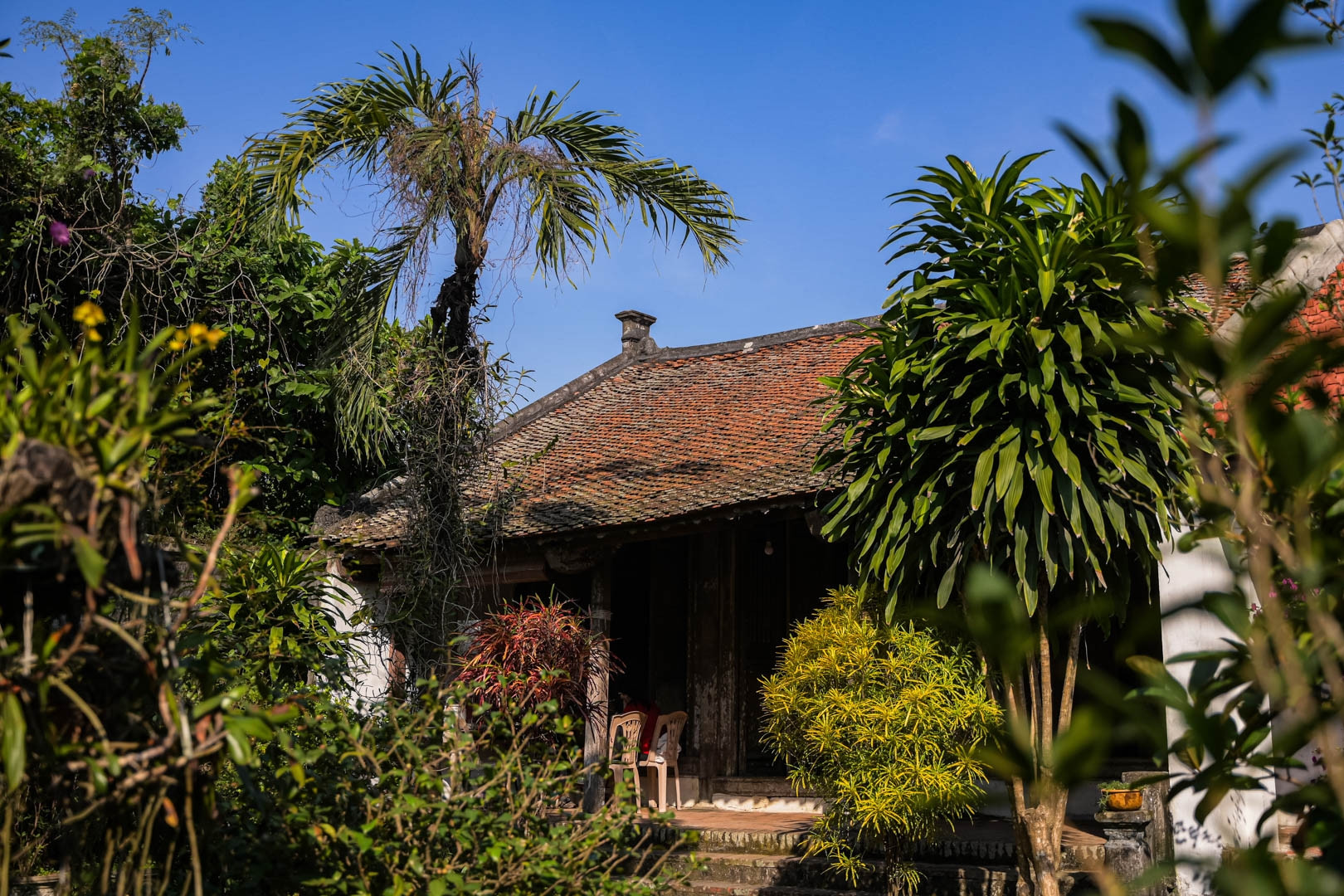 Nhà cổ gần 400 năm, gia chủ Hà Nội quyết không bán để 'làm điều đặc biệt' Bau Vat Trong Ngoi Nha Co Hon 100 Tuoi Gin Giu Qua 4 The He O Ha Noi 3776