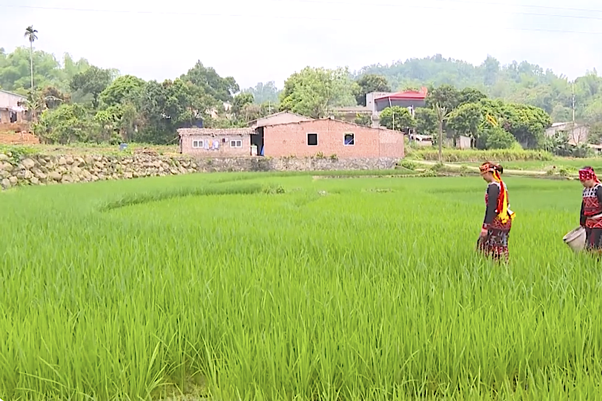 Lào Cai: Xã vùng cao Hợp Thành đặt mục tiêu không phát sinh hộ nghèo mới