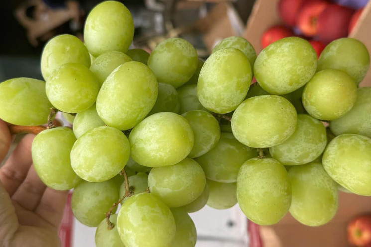 Người đàn ông ngừng thở vì nửa quả nho xanh