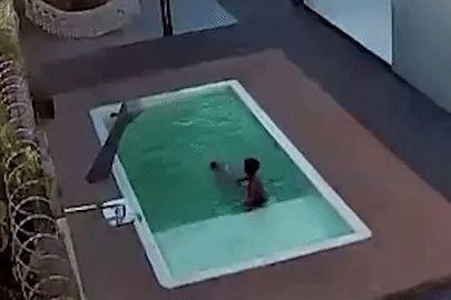 Thót tim cảnh ông bố kịp cứu 2 con khỏi chết đuối trong hồ bơi tại nhà