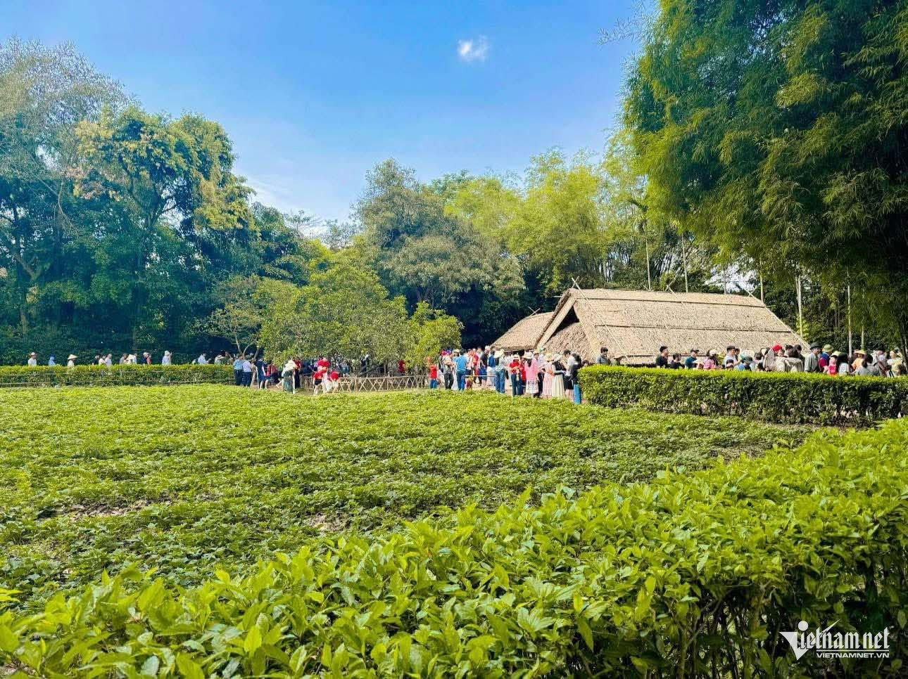 W-Nam Dan Nghe An.jpg