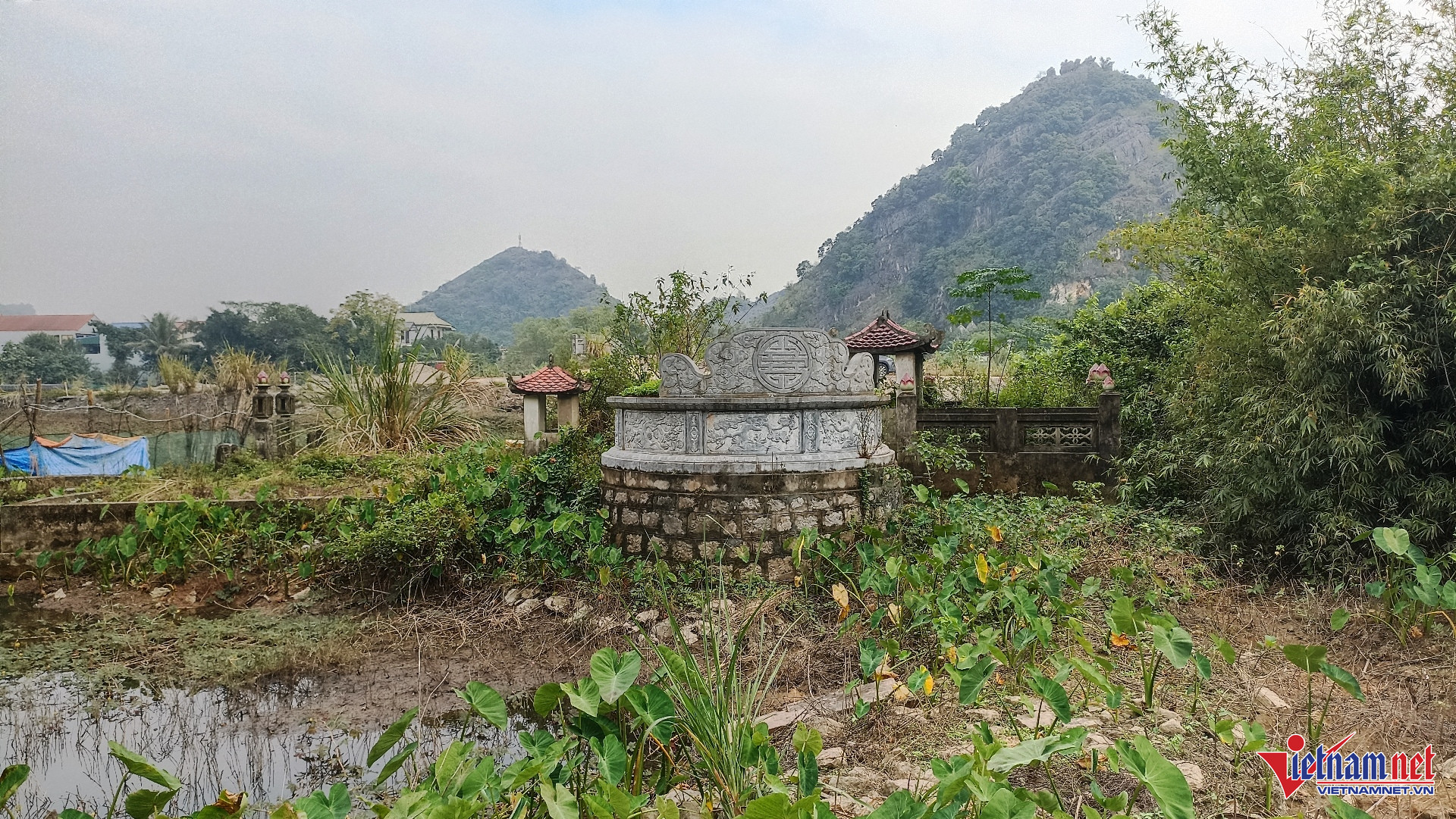 W-Vườn Già 4.jpg