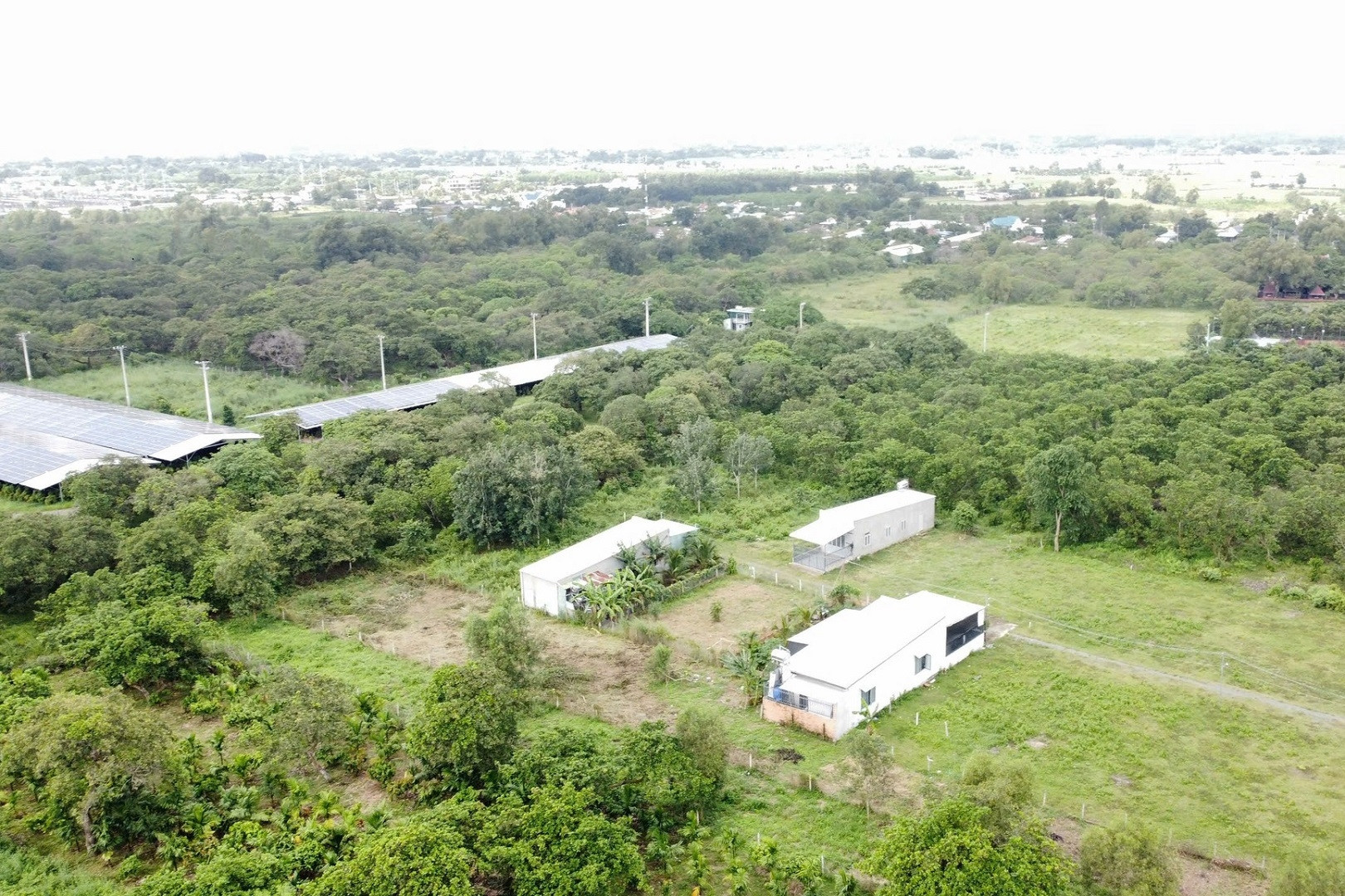 Xuân Lộc xây dựng nông thôn mới nâng cao, kiểu mẫu gắn với phát triển kinh tế