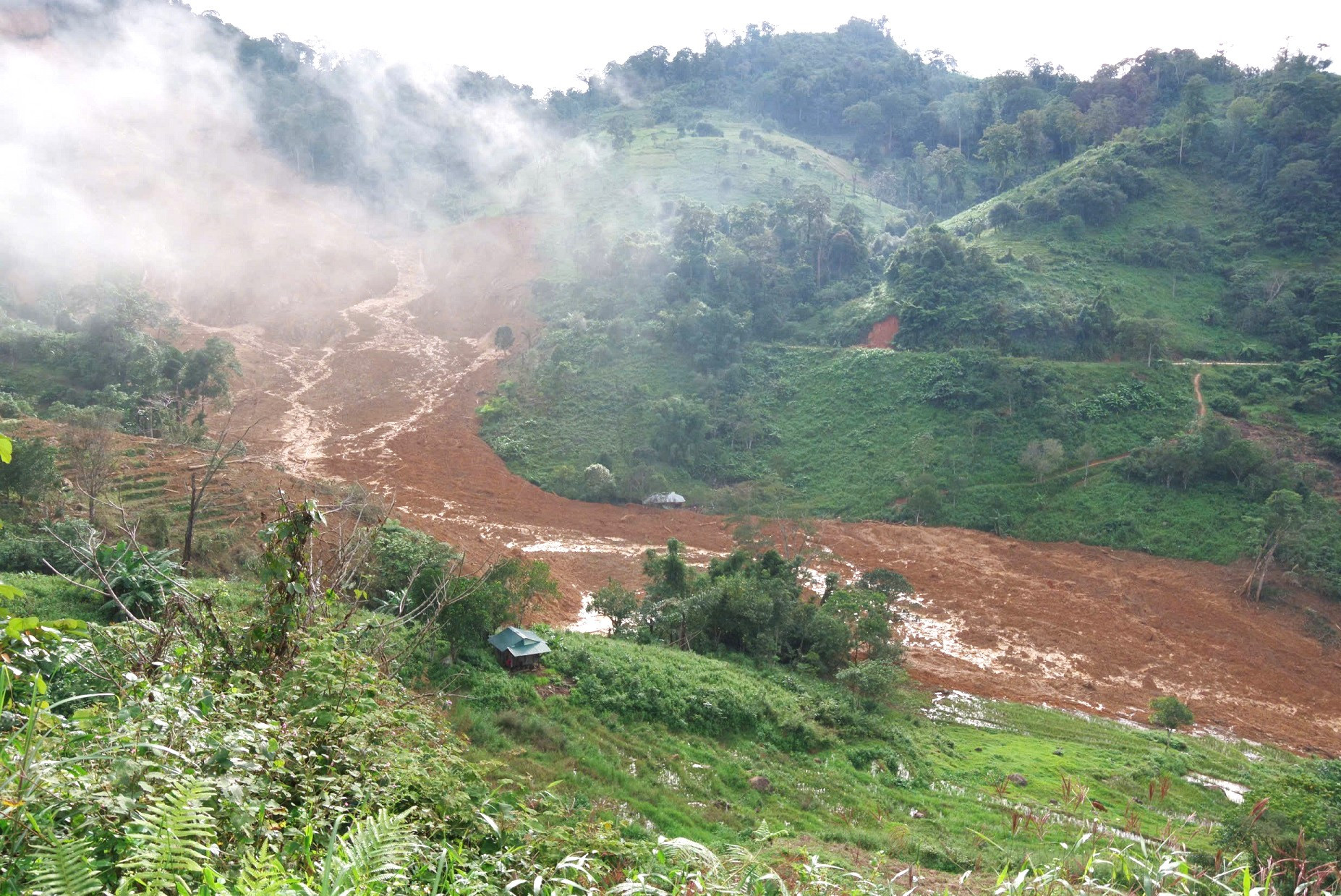 z7226403829736 2736a8734d835c69f0d534efa94206fb 721.jpg