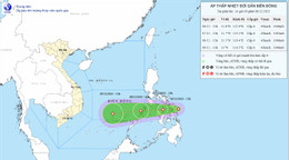 ap thap nhiet doi.jpg