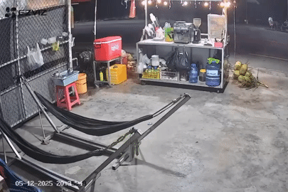 Ba thanh niên uống nước ven đường bị xe khách tông, hai người tử vong