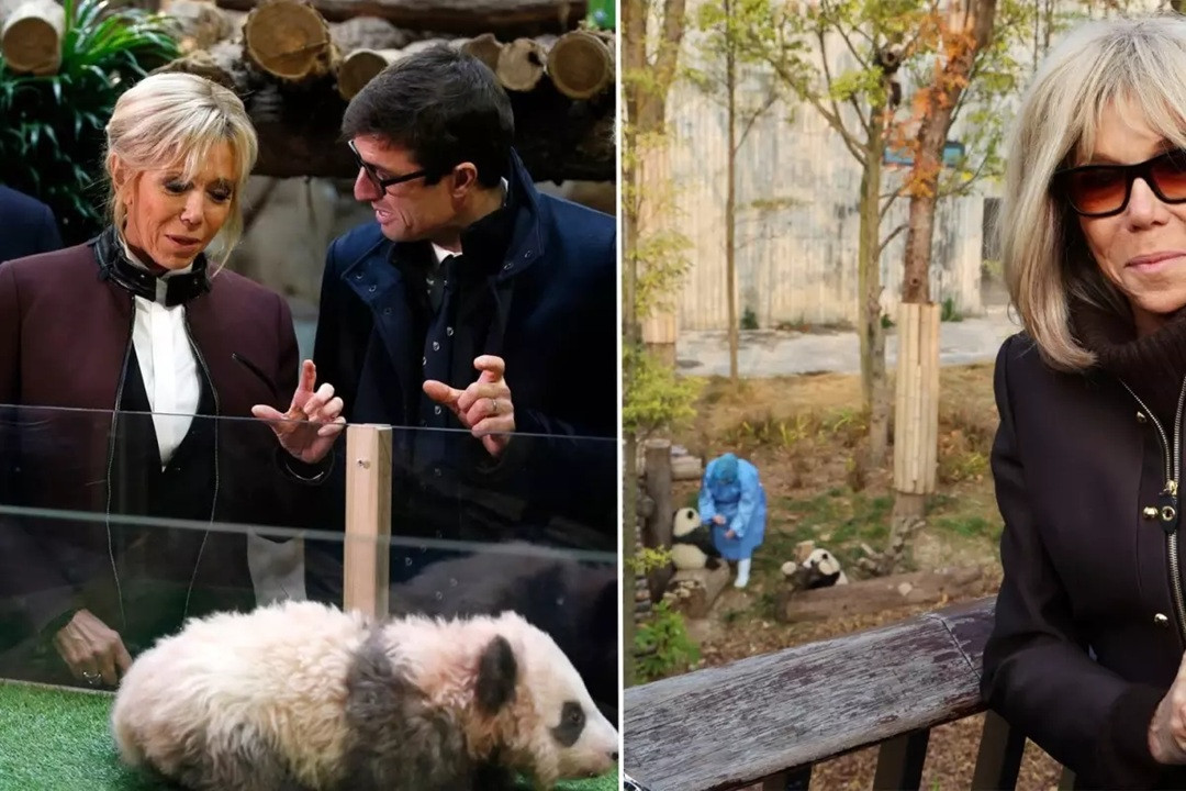 first lady macron eski dostu panda yuan meng ile 19328525_2321_amp.jpg
