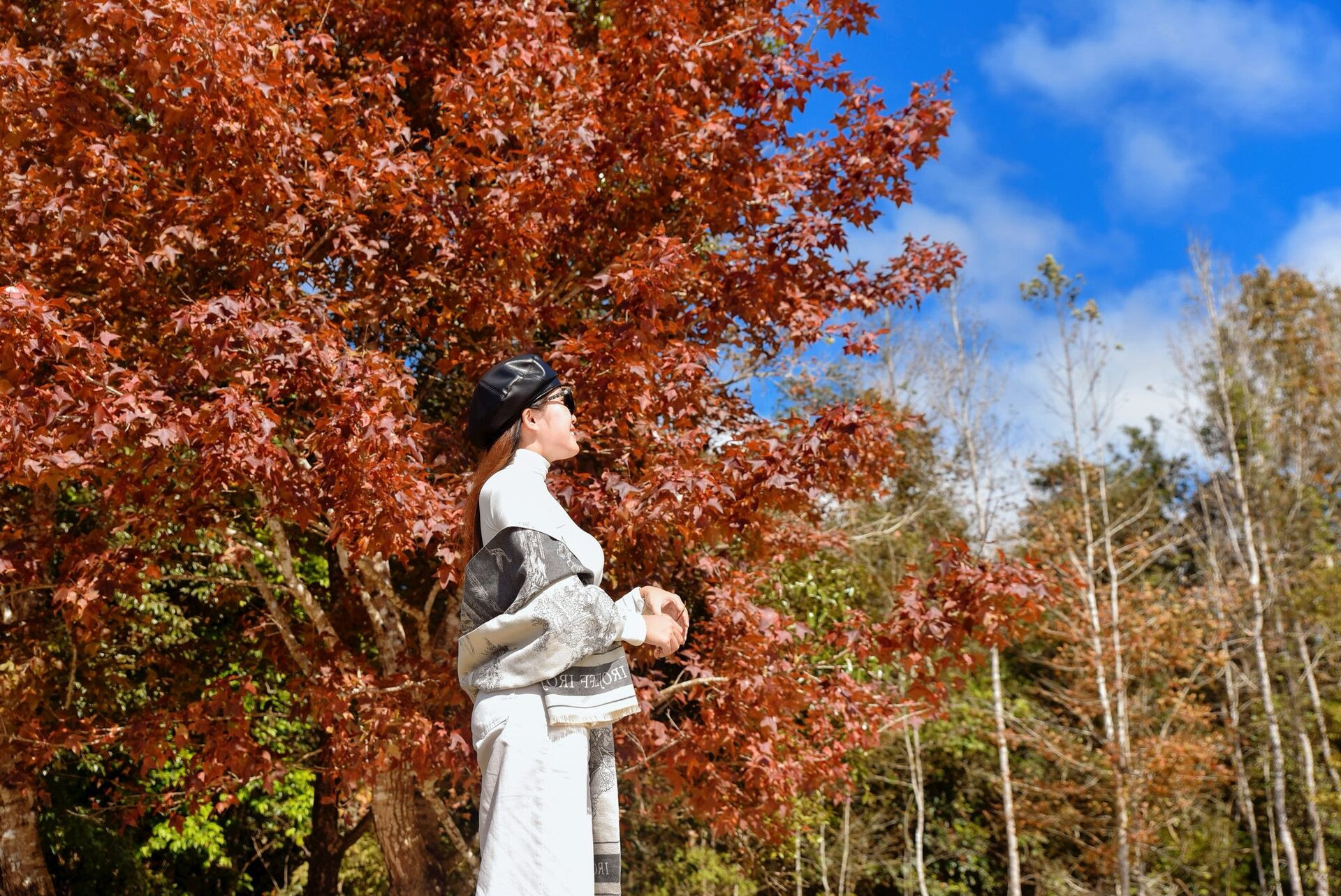 Khu rừng Quảng Trị có khung cảnh đẹp như trời Âu, hút khách tới check-in rừng phong hương du lịch quảng trị