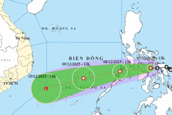 Bản tin chiều 7/12: Áp thấp nhiệt đới diễn biến bất ngờ khi vào Biển Đông