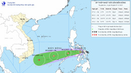 ap thap nhiet doi moi 1.jpeg