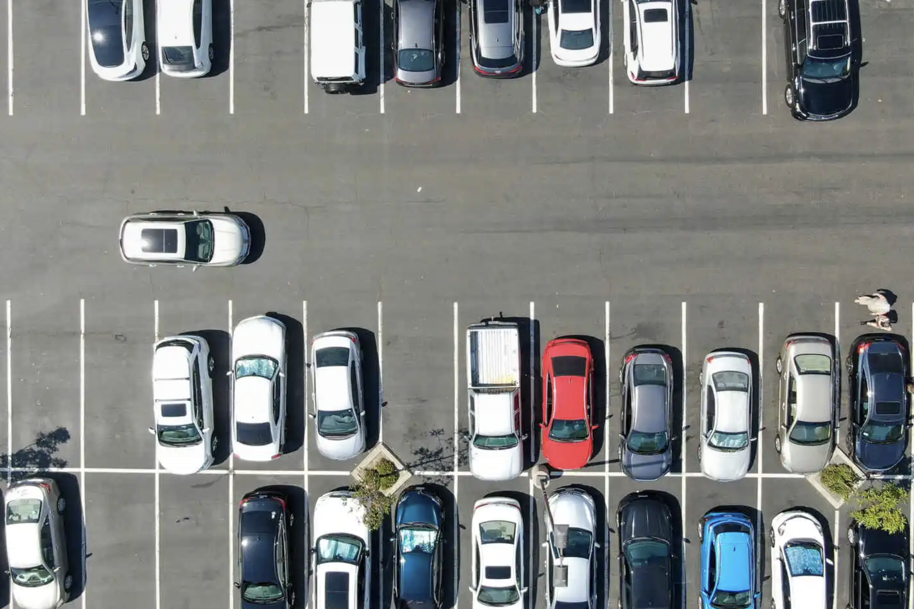 Cách bạn đỗ xe có thể báo hiệu chứng mất trí sớm