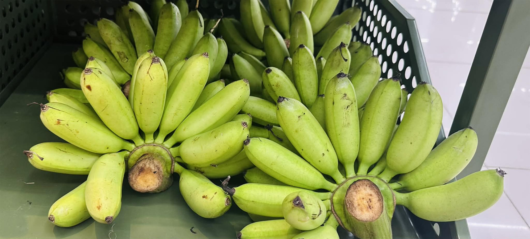 chuoi xanh.jpg