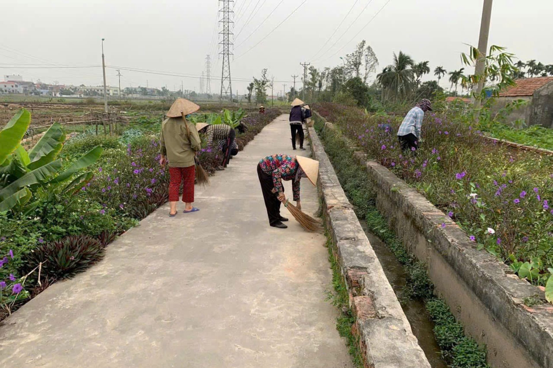 Đồng Tháp đạt nhiều kết quả nổi bật trong bảo vệ môi trường nông thôn