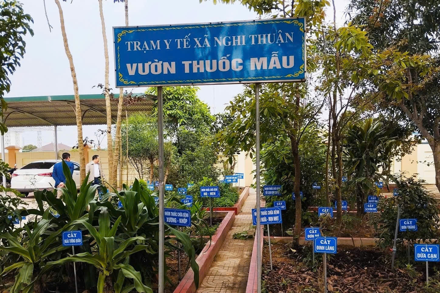 Nghệ An: Kinh tế tập thể đóng góp hiệu quả vào xây dựng nông thôn mới