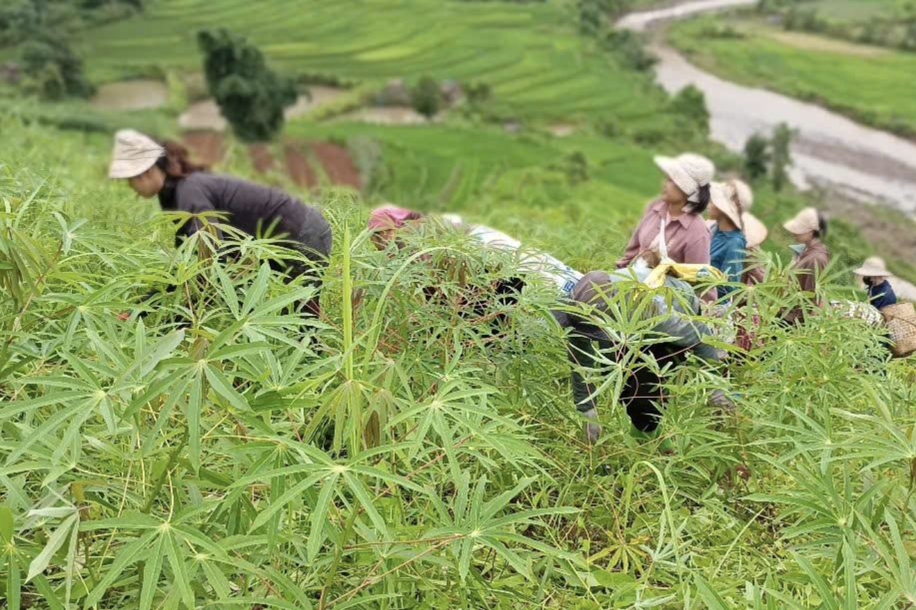 Phú Thọ xây dựng nông thôn mới thông minh và hội nhập sâu rộng