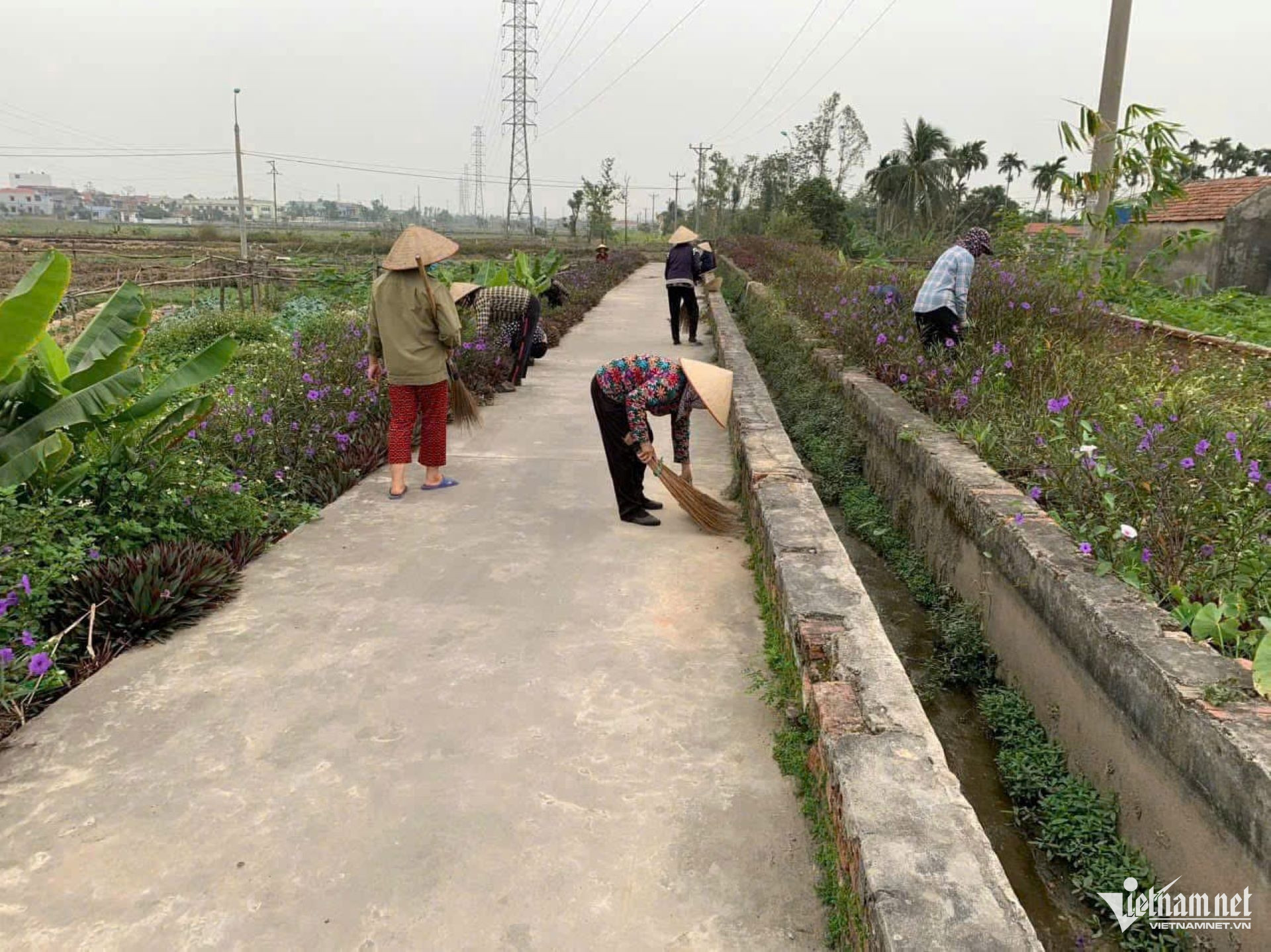 W-Đồng Tháp nâng chất môi trường nông thôn bền vững toàn diện.jpg