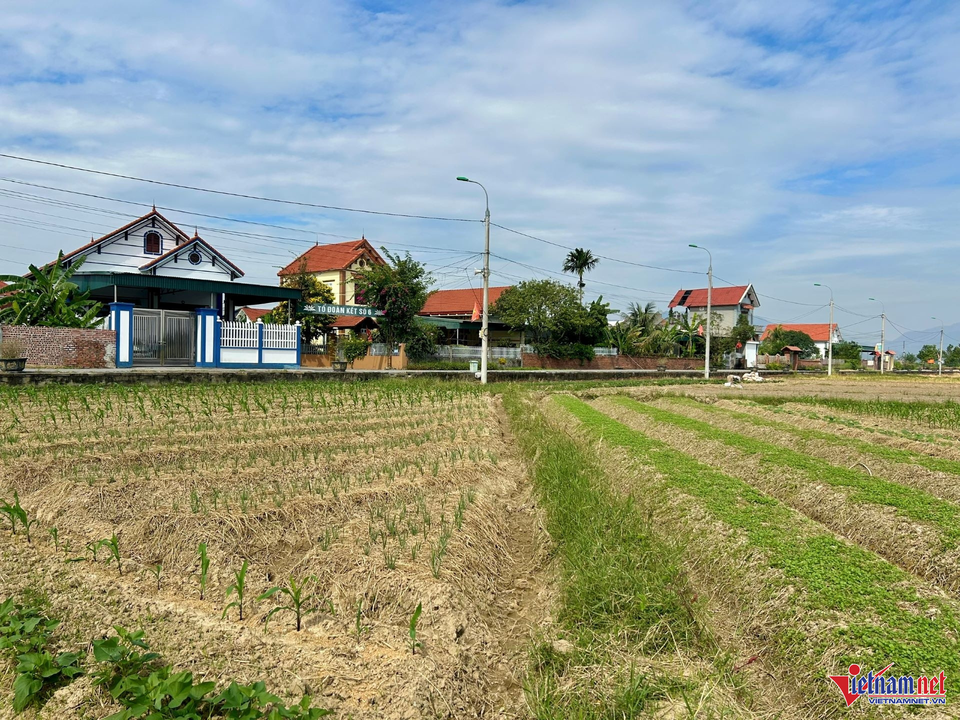 W-Làng quê đổi sắc nhờ chung tay xây dựng cảnh quan xanh.jpg