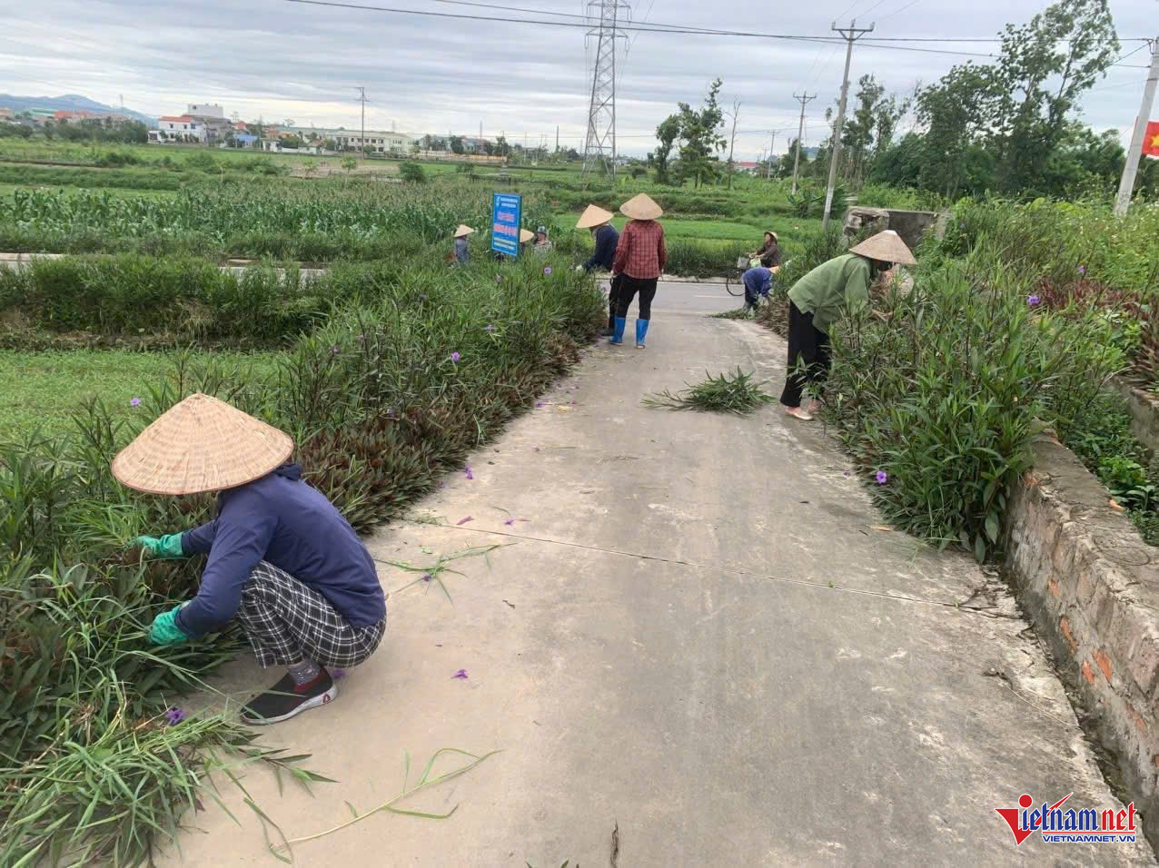 W-Nâng ý thức nông dân để giữ đồng ruộng thật sự sạch.jpg