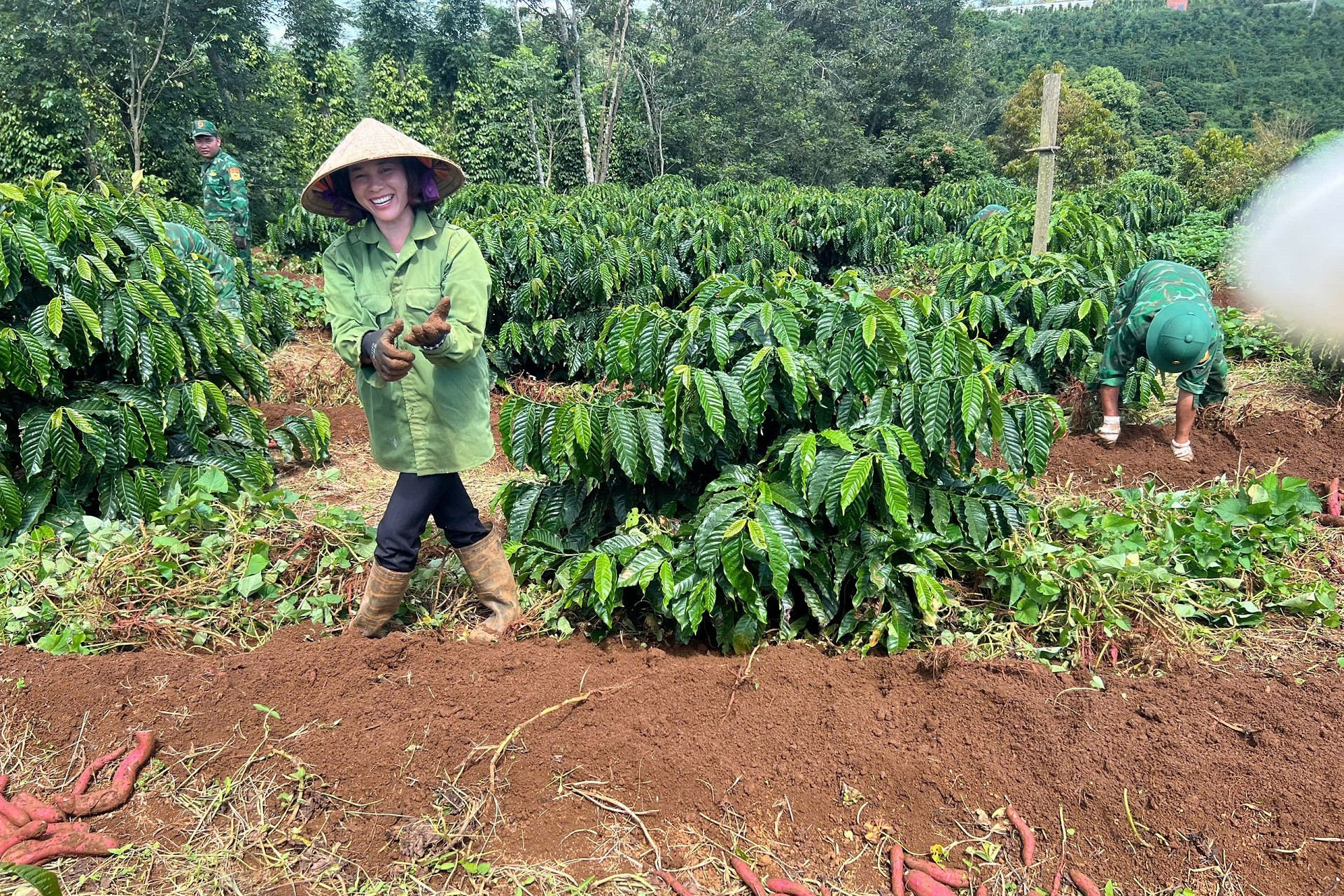 Gia Lai phấn đấu hết năm 2030 có 95/110 xã đạt chuẩn nông thôn mới