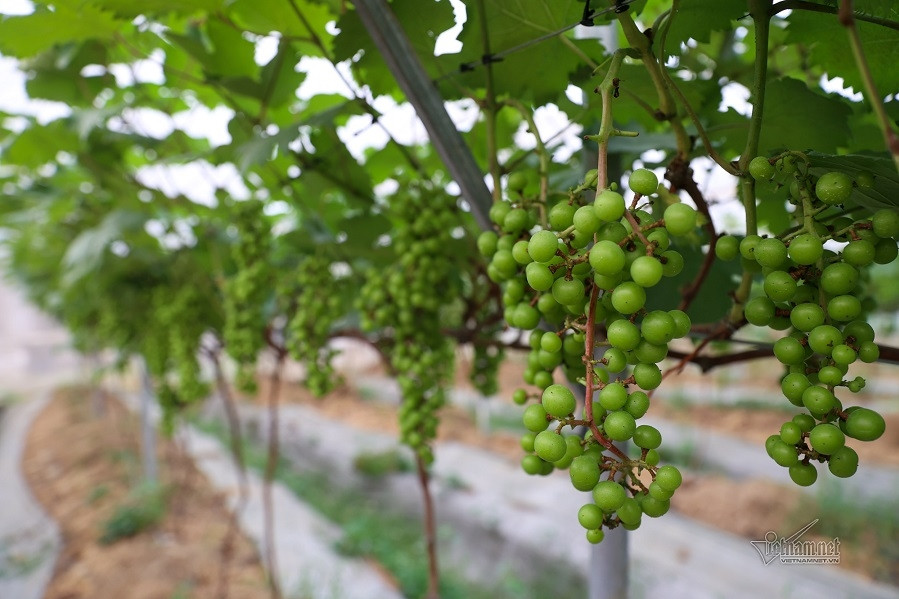 Cà Mau: Tập huấn triển khai Cuộc vận động xây dựng nông thôn mới