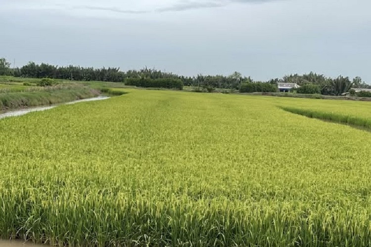 Hành trình từ xã đặc biệt khó khăn tới xã đạt chuẩn nông thôn mới