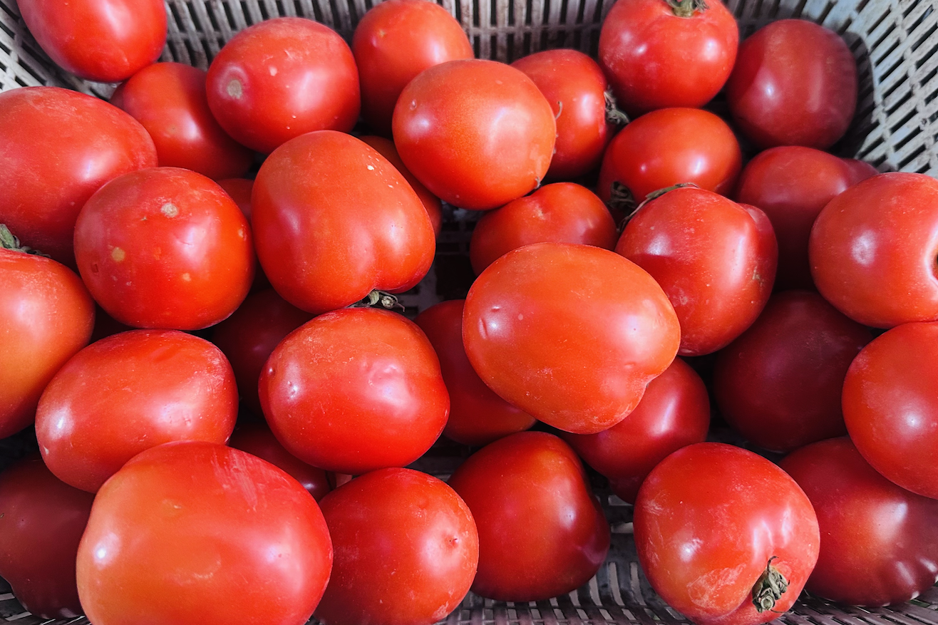 Ngỡ ngàng với cà chua ở chợ Hà Nội: Vọt lên 85.000 đồng/kg vẫn ‘cháy hàng’