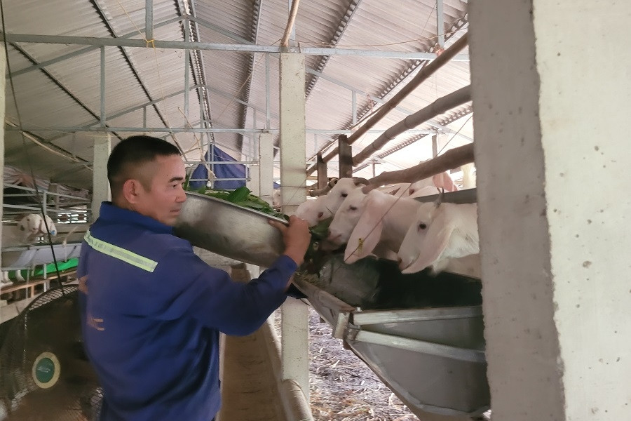 Lóng Phiêng: Hợp tác xã góp sức xây dựng nông thôn mới