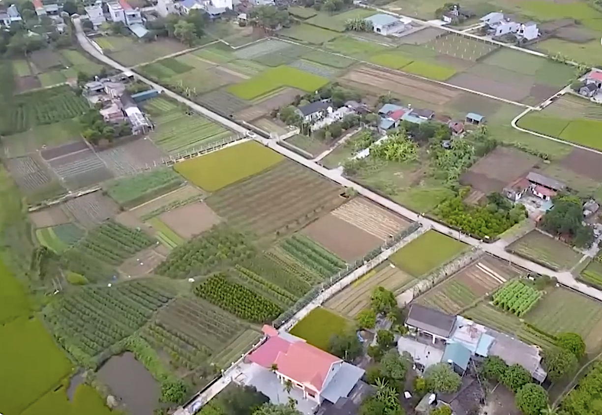 Ứng dụng tiến bộ khoa học và công nghệ để hình thành nền nông nghiệp tri thức