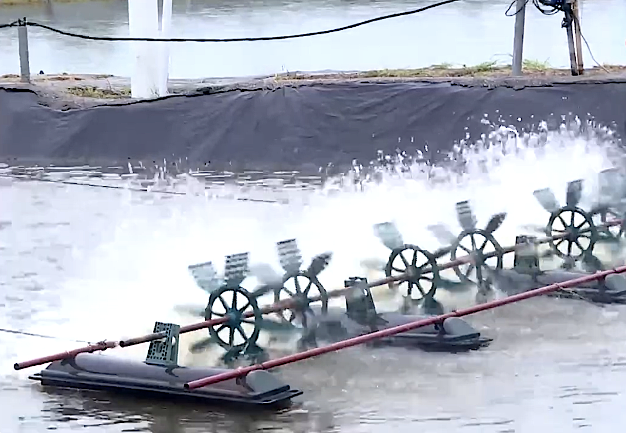 Khoa học công nghệ mở ra tương lai nông nghiệp thịnh vượng và bền vững