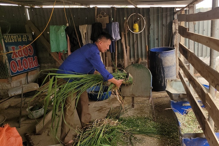 Nông thôn mới - động lực thúc đẩy Tường Hạ phát triển toàn diện