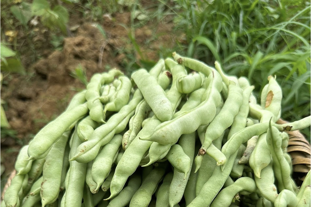 Quảng Ninh tích hợp KHCN vào mọi khâu của chuỗi giá trị