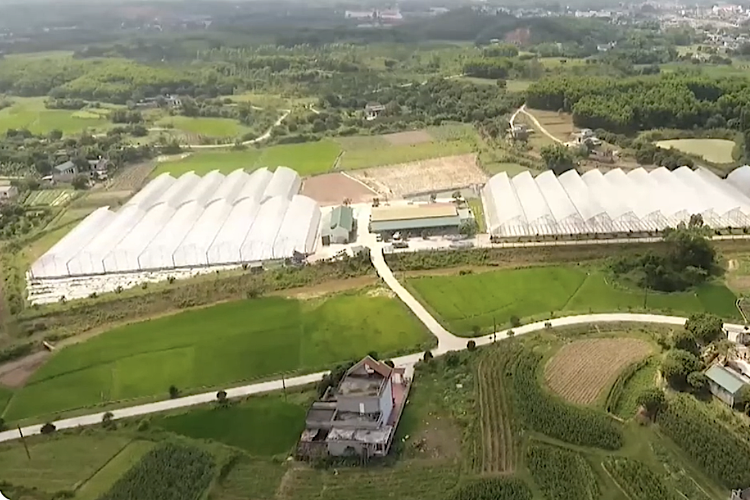 Quyết tâm đưa KHCN, đổi mới sáng tạo vào cuộc sống